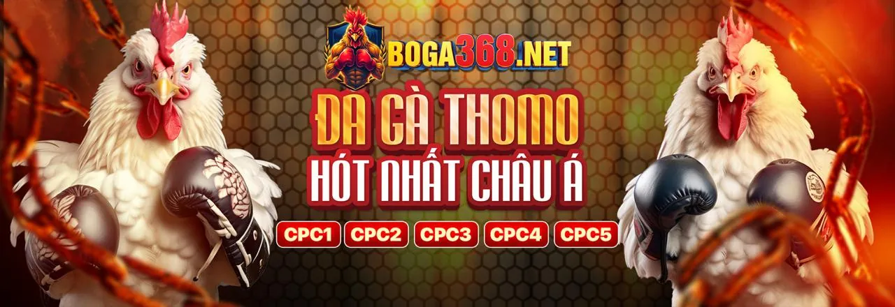 Đá gà trực tiếp 67 với các loại hình phổ biến